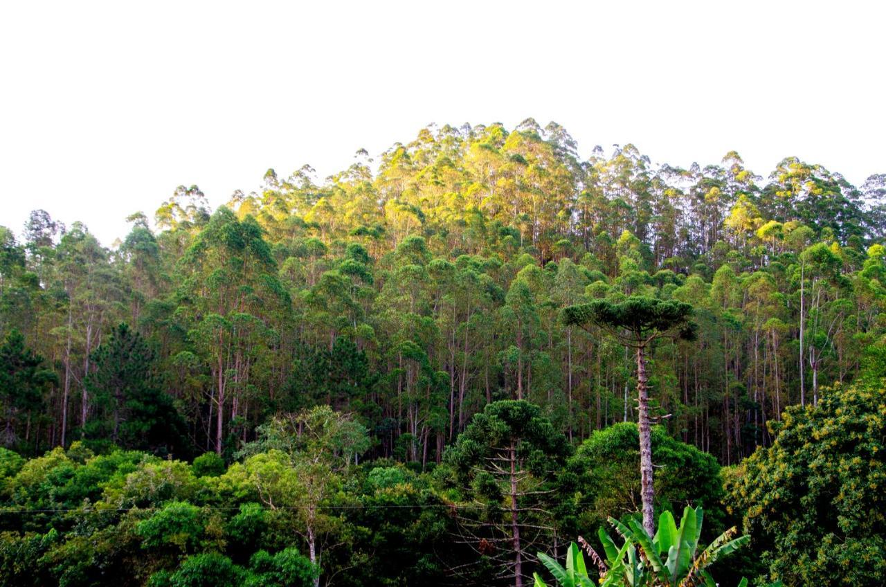 Chale Vista Da Mata Villa Visconde de Mauá Eksteriør bilde